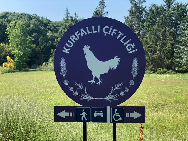 Engelli Erişimi